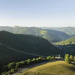 Schwarzwaldhaus * Todtnau