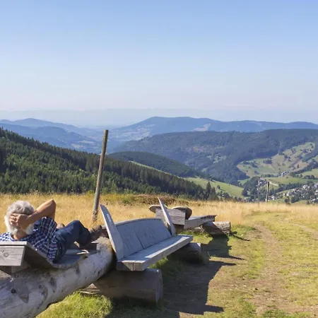 Apartamento Schwarzwaldhaus Todtnau