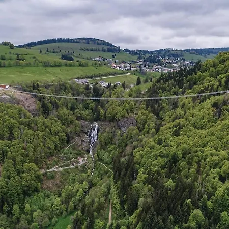 Gemuetliches Schwarzwaldhaus Im Ferienparadies