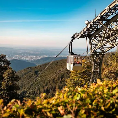 Schwarzwaldhaus Todtnau