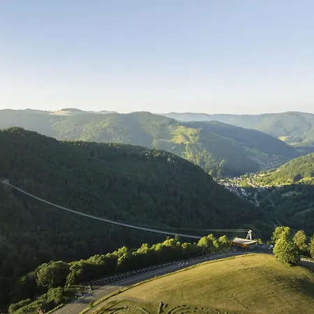 Gemütliches Schwarzwaldhaus Im Ferienparadies * Todtnau