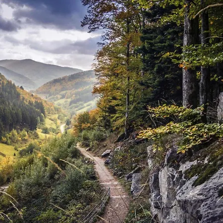 Apartamento Schwarzwaldhaus