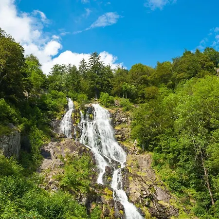 Schwarzwaldhaus Apartamento *