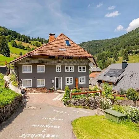 Schwarzwaldhaus Apartamento Todtnau