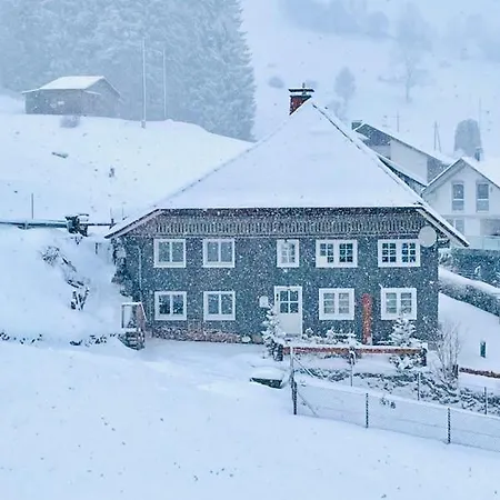 Lejlighed Schwarzwaldhaus Todtnau