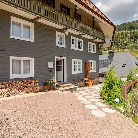 Schwarzwaldhaus Lejlighed Todtnau