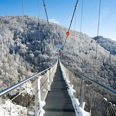Lejlighed Schwarzwaldhaus *